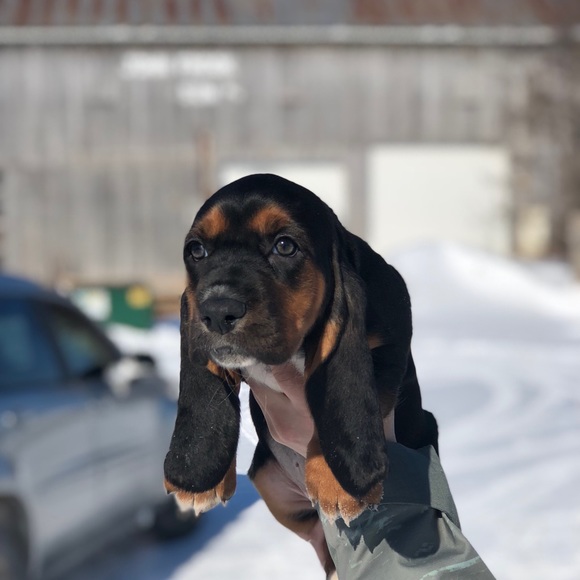 Meet the Posher Other - Meet your Posher, Heather